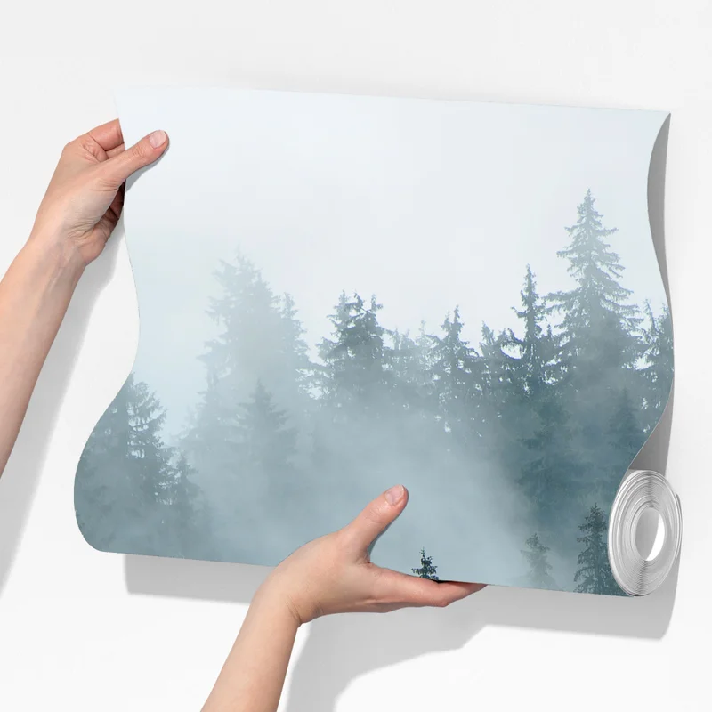 Fototapeta mglisty iglasty las Fototapeta mglisty iglasty las