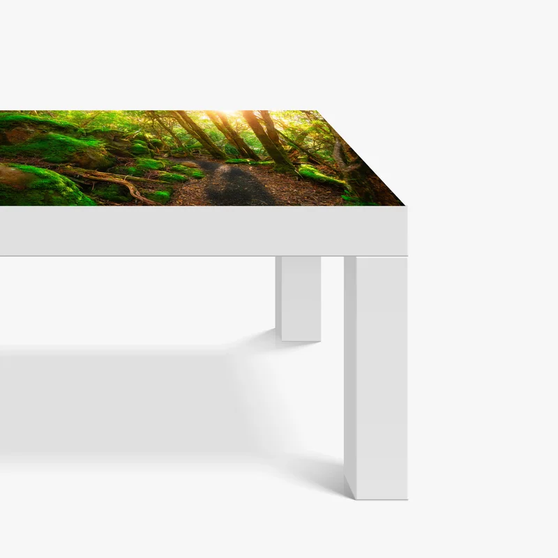 Tischaufkleber und Schreibtischaufkleber sonniger pfad im regenwald der Tasman-Halbinsel, Tasmanien