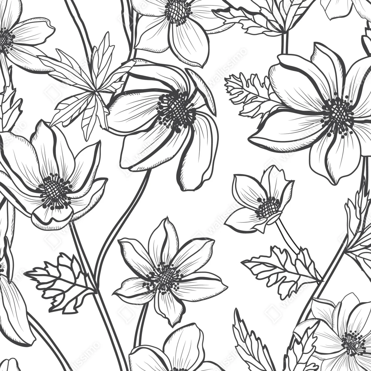 Fototapete botanische linienzeichnung mit blumen Fototapete botanische linienzeichnung mit blumen