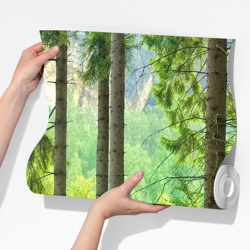 Fototapete sonniger waldweg Fototapete sonniger waldweg