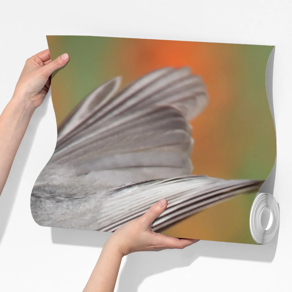 Fototapete grauer vogel auf roten beeren Fototapete grauer vogel auf roten beeren