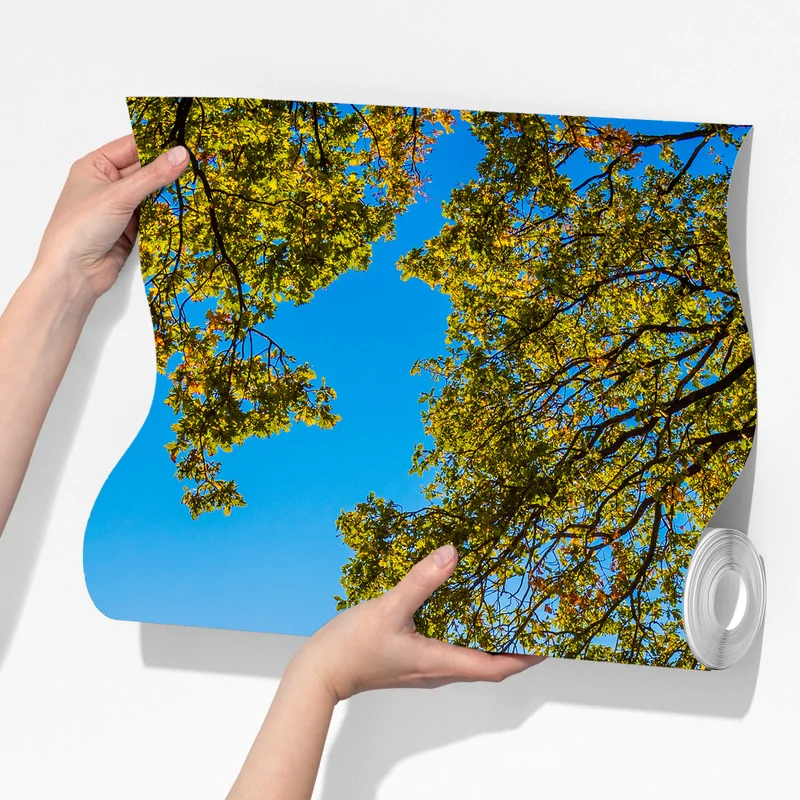 Fototapete sonnenbeschienene wiese mit landweg bei sonnenuntergang Fototapete sonnenbeschienene wiese mit landweg bei sonnenuntergang