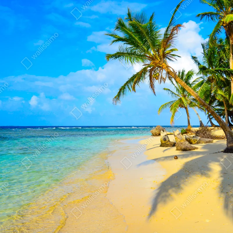 Fototapeta tropikalna turkusowa plaża Fototapeta tropikalna turkusowa plaża