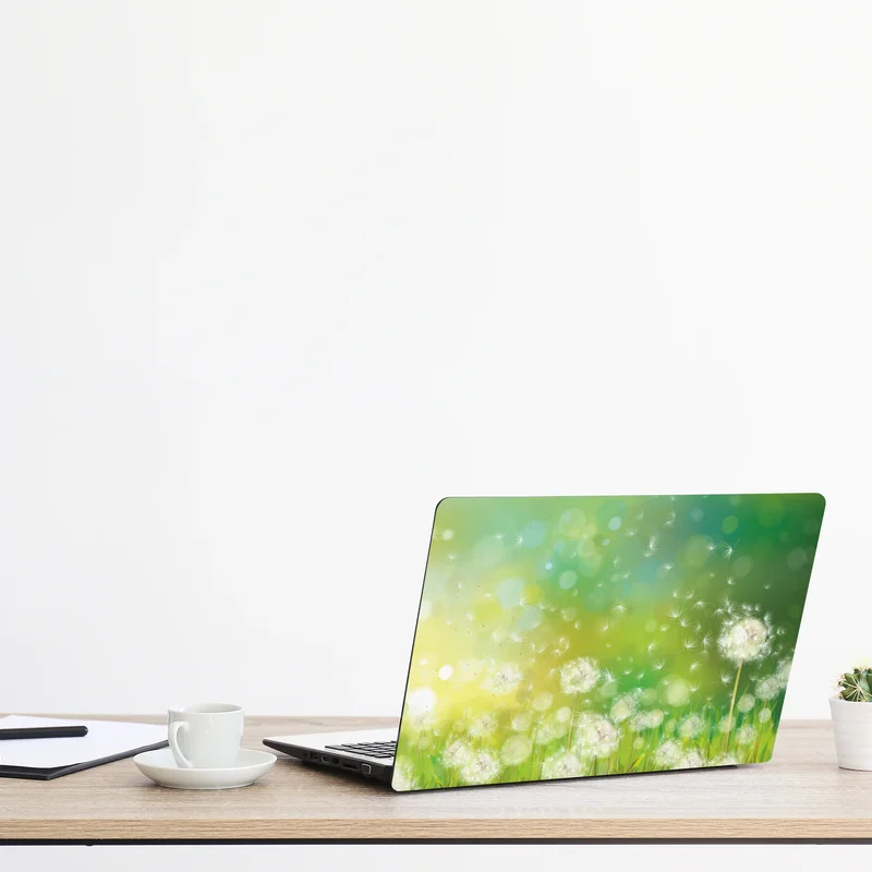 Naklejka na laptopa wiosenna łąka dmuchawców