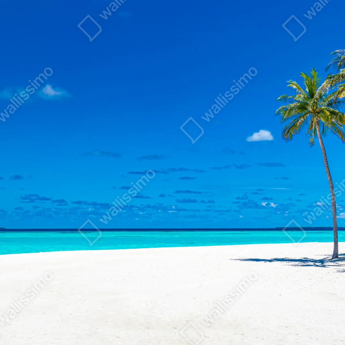 Laptop-Aufkleber tropischer türkisstrand Laptop-Aufkleber tropischer türkisstrand