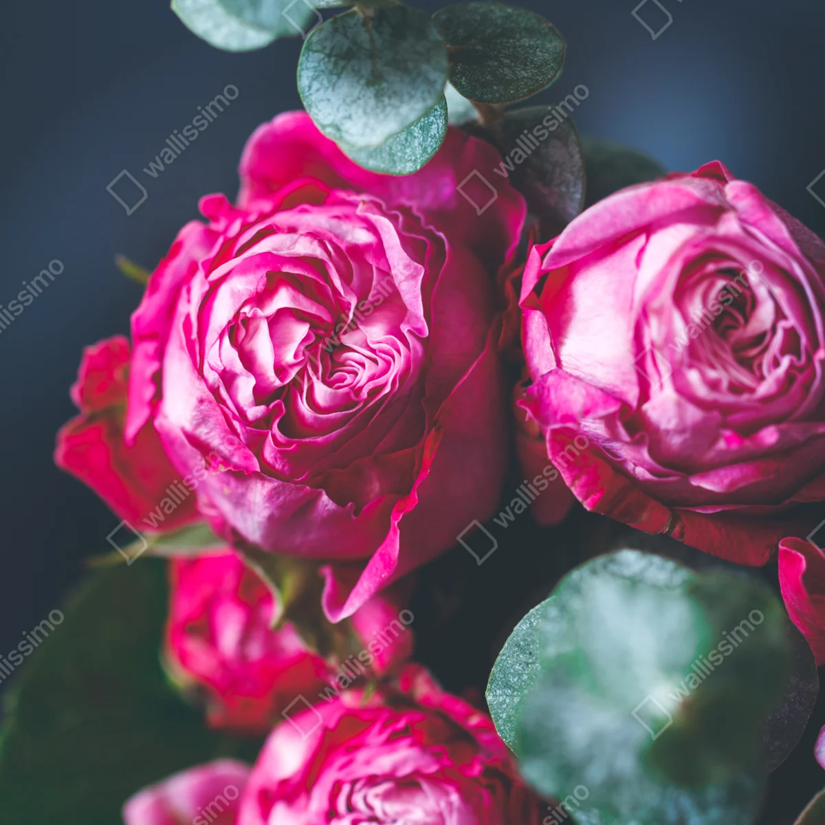 Leinwandbild rosenbouquet makroaufnahme • Leinwandbilder bei Wallnifity® Leinwandbild rosenbouquet makroaufnahme • Leinwandbilder bei Wallnifity®