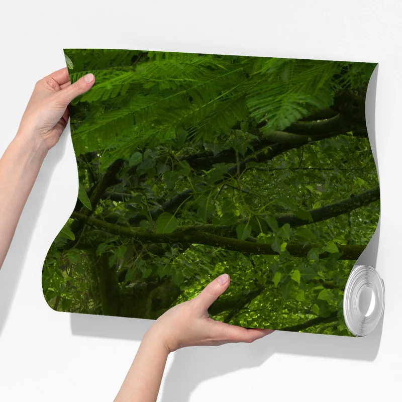 Fototapete nebliger steg im tropischen dschungel Fototapete nebliger steg im tropischen dschungel