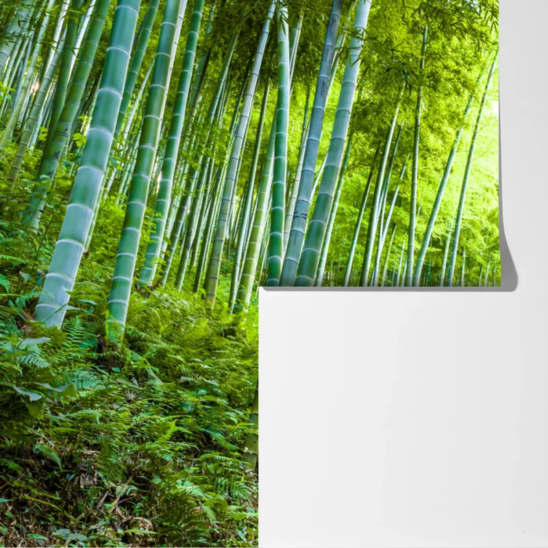 Fototapeta spokojna ścieżka w bambusowym lesie Fototapeta spokojna ścieżka w bambusowym lesie