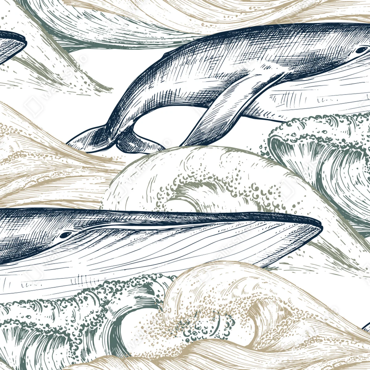 Fototapete handgezeichnete wale und ozeanwellen Fototapete handgezeichnete wale und ozeanwellen