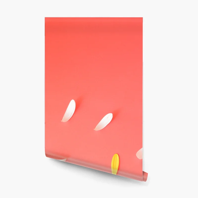 Fototapete sonnige gelbe gerbera auf korallfarbenem hintergrund Fototapete sonnige gelbe gerbera auf korallfarbenem hintergrund