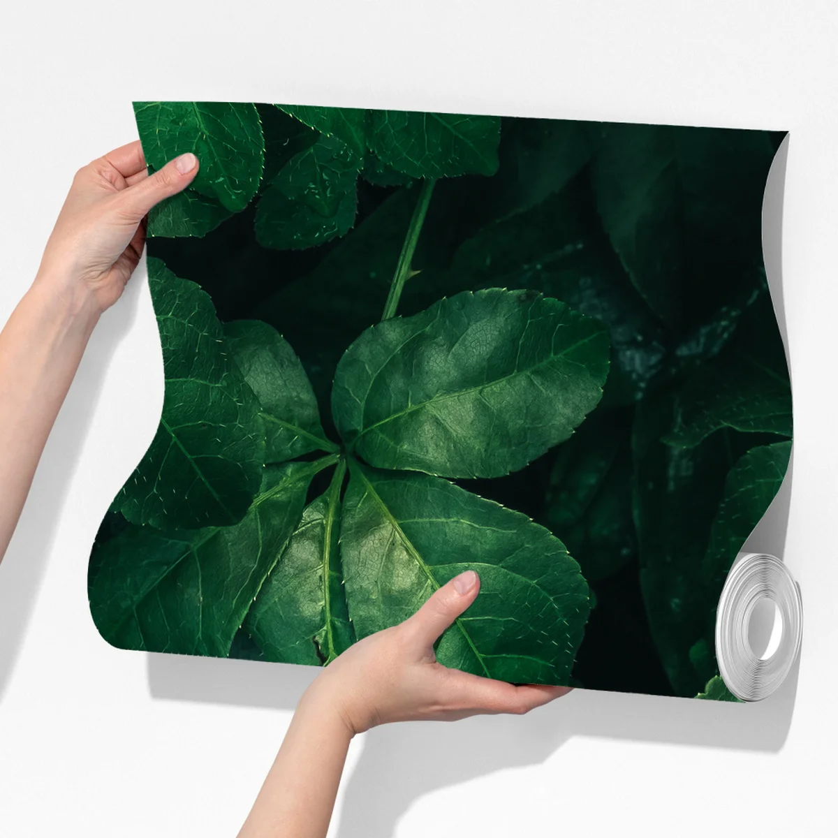 Fototapete üppiges tropisches grünes laub Fototapete üppiges tropisches grünes laub