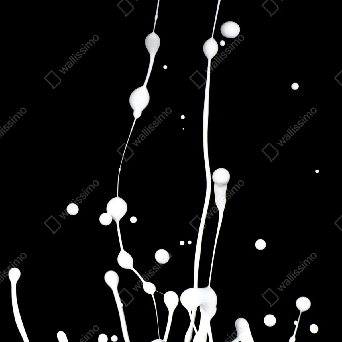 Poster weiße flüssigkeitsspritzer auf schwarzem hintergrund Poster weiße flüssigkeitsspritzer auf schwarzem hintergrund