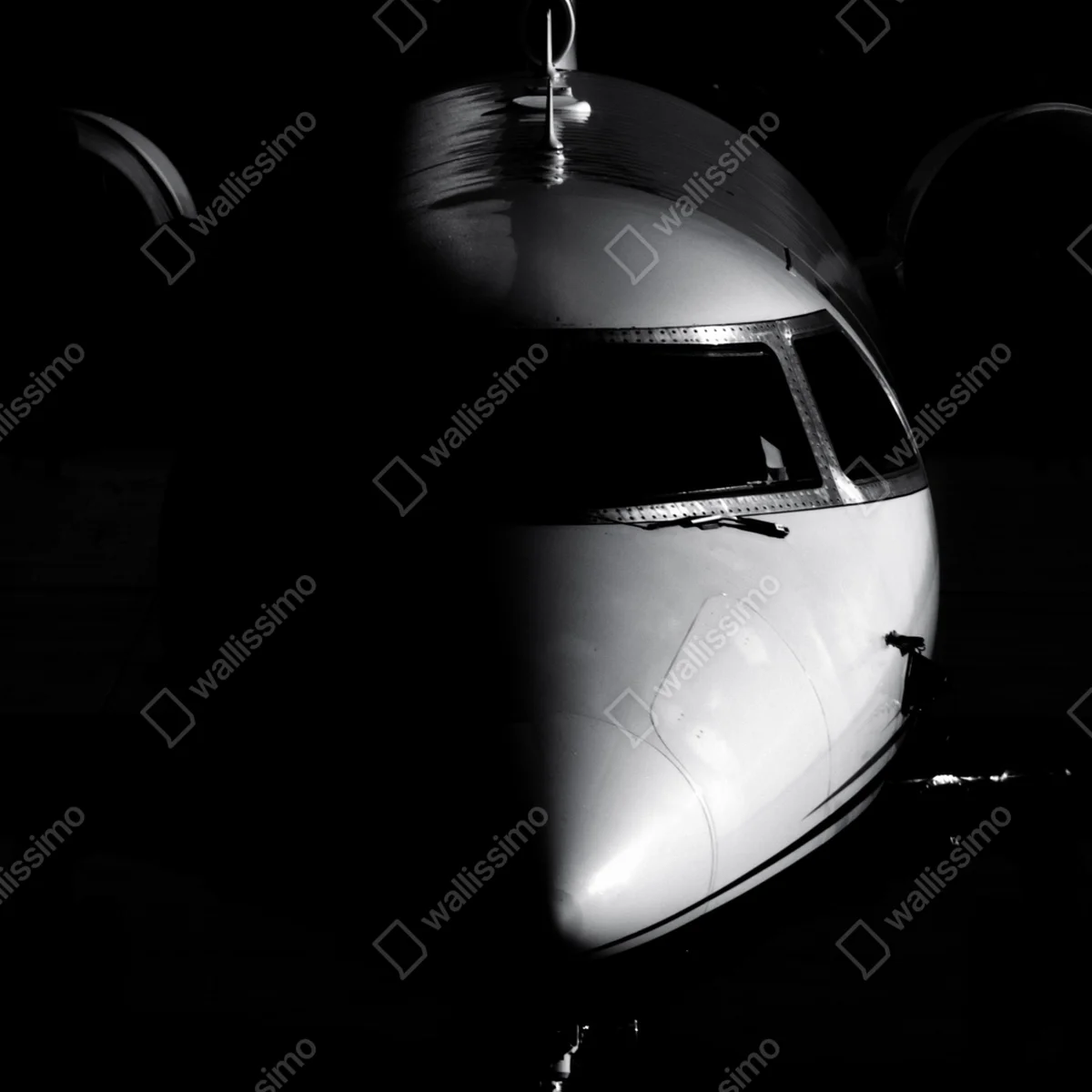 Leinwandbild monochromes porträt der flugzeugnase Leinwandbild monochromes porträt der flugzeugnase