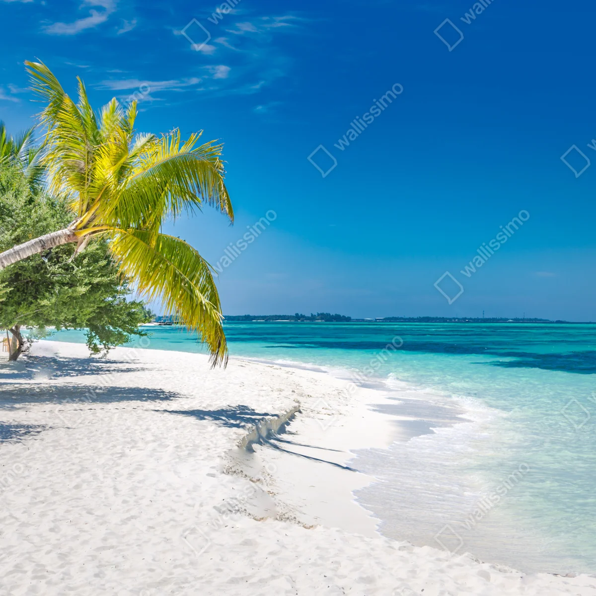 Poster tropischer türkisstrand • Poster bei Wallnifity® Poster tropischer türkisstrand • Poster bei Wallnifity®