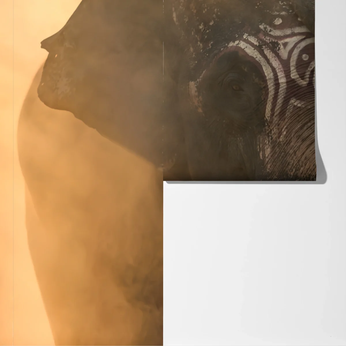 Fototapete majestätischer Thai-elefant mit stoßzähnen Fototapete majestätischer Thai-elefant mit stoßzähnen