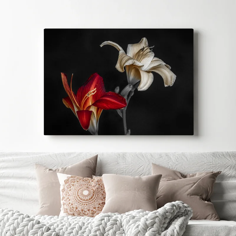 Leinwandbild dramatische rote und cremefarbene lilien auf schwarzem hintergrund • Leinwandbilder bei Wallnifity® Leinwandbild dramatische rote und cremefarbene lilien auf schwarzem hintergrund • Leinwandbilder bei Wallnifity®