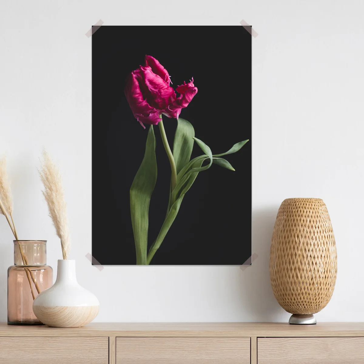 Poster elegante rosa tulpe vor schwarzem hintergrund • Poster bei Wallnifity® Poster elegante rosa tulpe vor schwarzem hintergrund • Poster bei Wallnifity®
