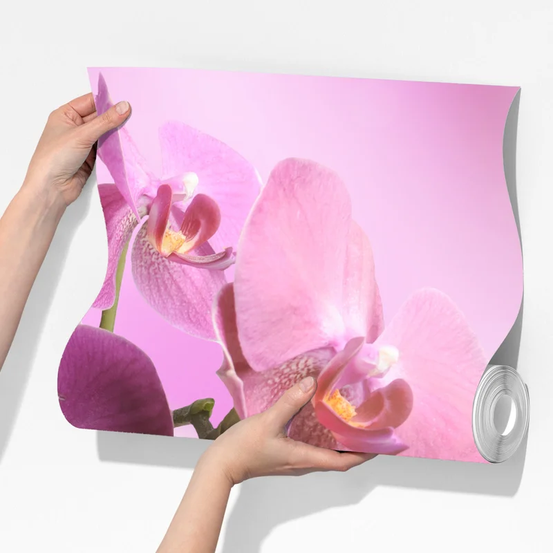 Fototapete rosa orchideen spiegelung Fototapete rosa orchideen spiegelung