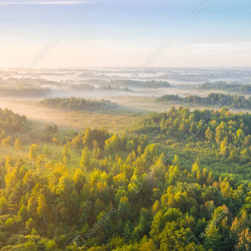 Tischaufkleber und Schreibtischaufkleber nebliger morgen im sumpf von Zvanets Tischaufkleber und Schreibtischaufkleber nebliger morgen im sumpf von Zvanets