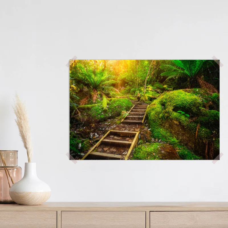 Poster moosiger regenwaldpfad auf der Tasman-Halbinsel Poster moosiger regenwaldpfad auf der Tasman-Halbinsel