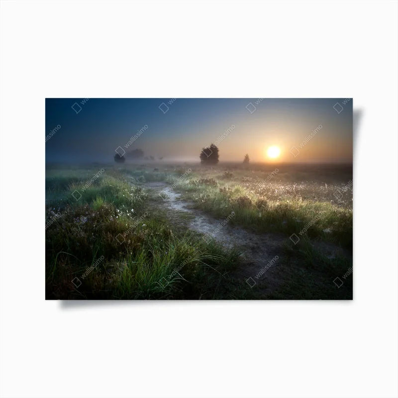 Poster nebliger Sonnenaufgang über dem Feldweg • Poster bei Wallnifity® Poster nebliger Sonnenaufgang über dem Feldweg • Poster bei Wallnifity®