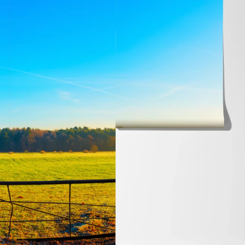 Fototapete sonnenbeschienener landweg durch herbstliche wiese Fototapete sonnenbeschienener landweg durch herbstliche wiese
