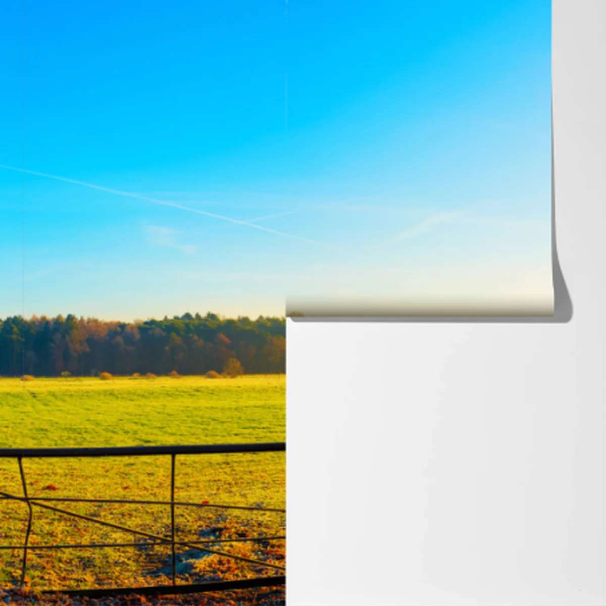 Fototapete sonnenbeschienener landweg durch herbstliche wiese Fototapete sonnenbeschienener landweg durch herbstliche wiese