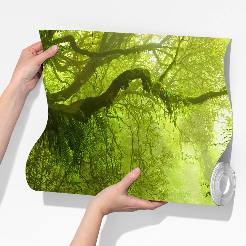 Fototapete moosbedeckter waldbach Fototapete moosbedeckter waldbach