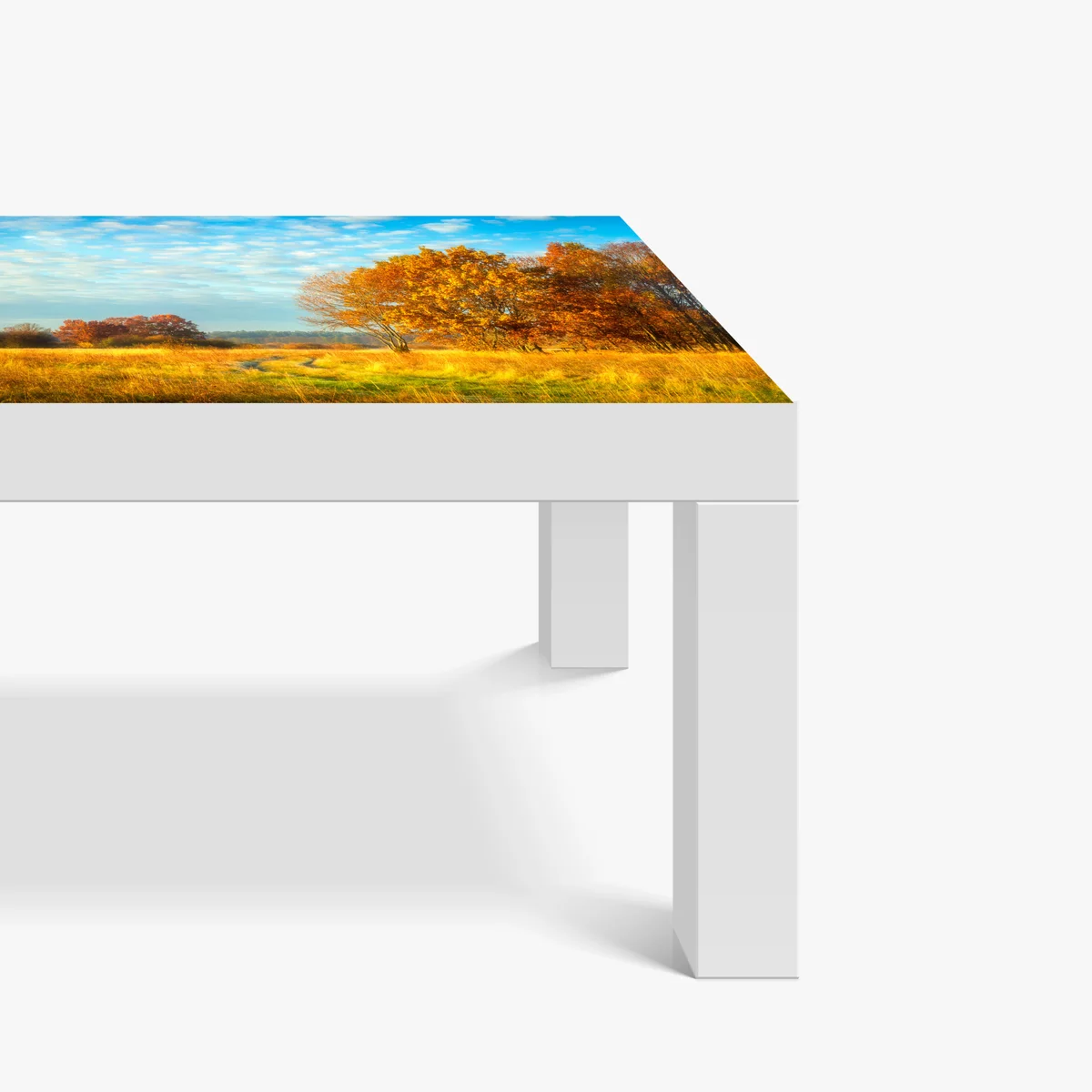 Tischaufkleber und Schreibtischaufkleber goldene herbstwiese Tischaufkleber und Schreibtischaufkleber goldene herbstwiese