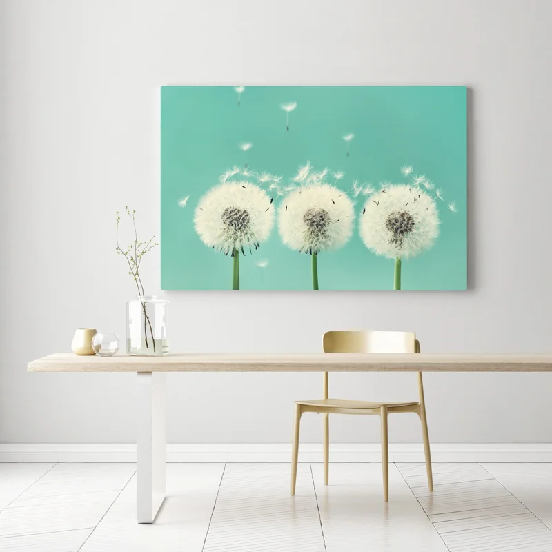 Leinwandbild drei löwenzahn-pusteblumen auf türkisgrund Leinwandbild drei löwenzahn-pusteblumen auf türkisgrund