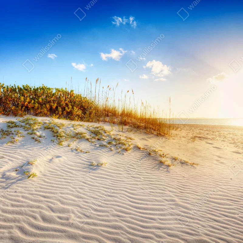 Fototapeta zachód słońca nad wydmami Grace Bay Fototapeta zachód słońca nad wydmami Grace Bay