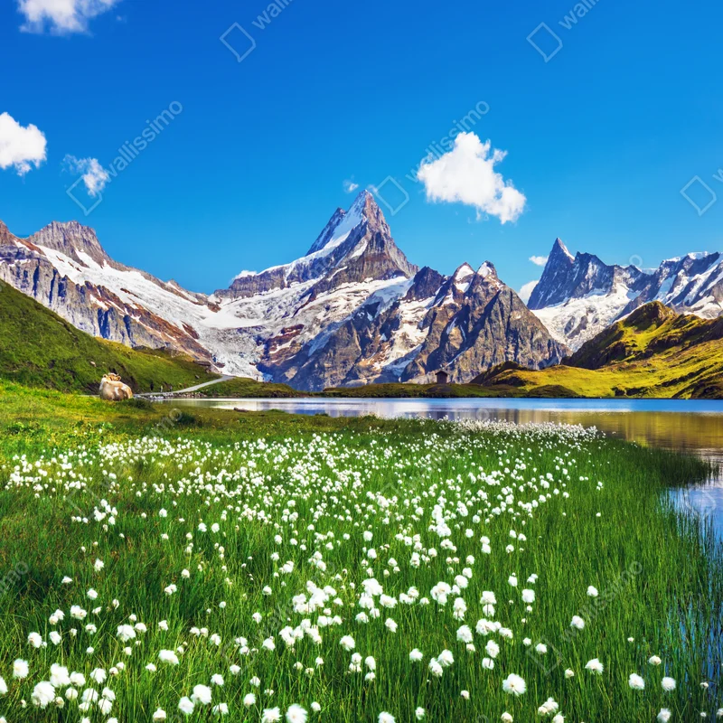 Repositionierbarer Aufkleber alpensee mit blumenwiese und berggipfeln Repositionierbarer Aufkleber alpensee mit blumenwiese und berggipfeln