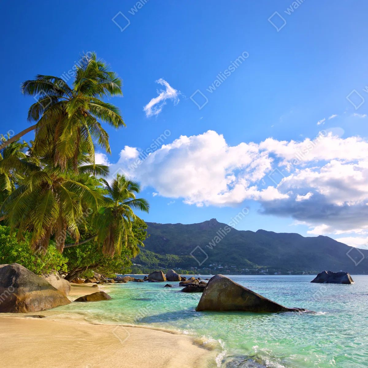Poster tropischer strand auf Mahé Poster tropischer strand auf Mahé