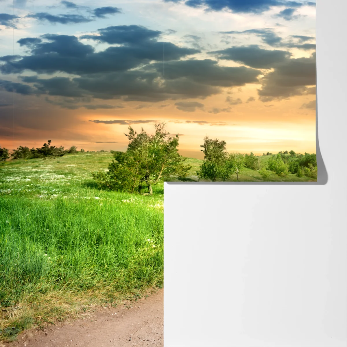 Fototapete sonnenuntergang über einem feldweg durch grüne wiese Fototapete sonnenuntergang über einem feldweg durch grüne wiese