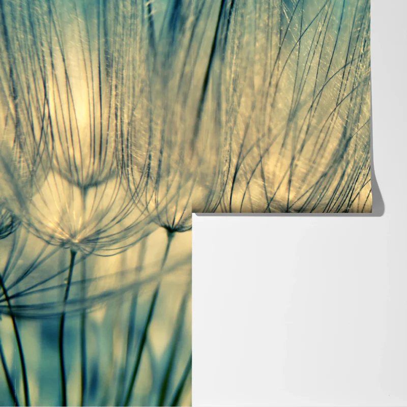 Fototapeta delikatne zbliżenie mlecza w miękkim niebieskim Fototapeta delikatne zbliżenie mlecza w miękkim niebieskim