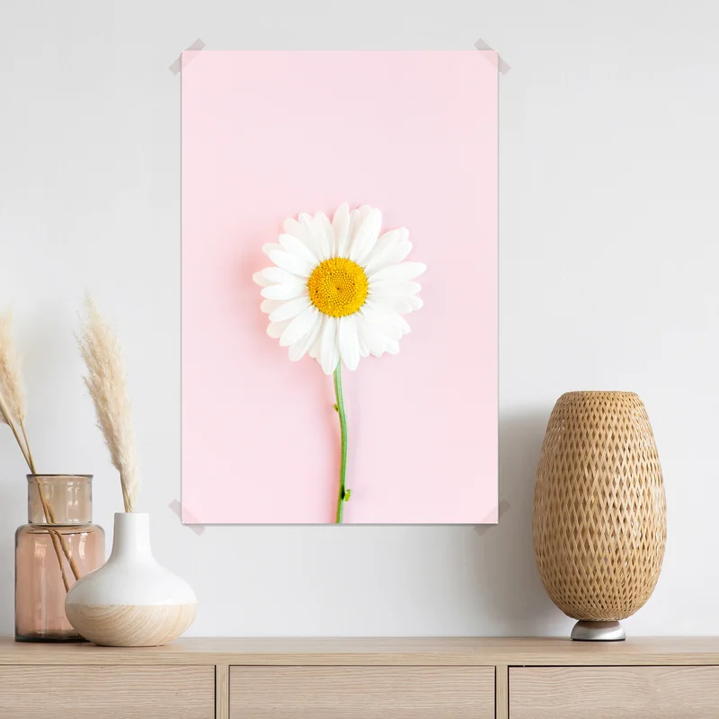 Poster weißes gänseblümchen auf pastellrosa hintergrund Poster weißes gänseblümchen auf pastellrosa hintergrund