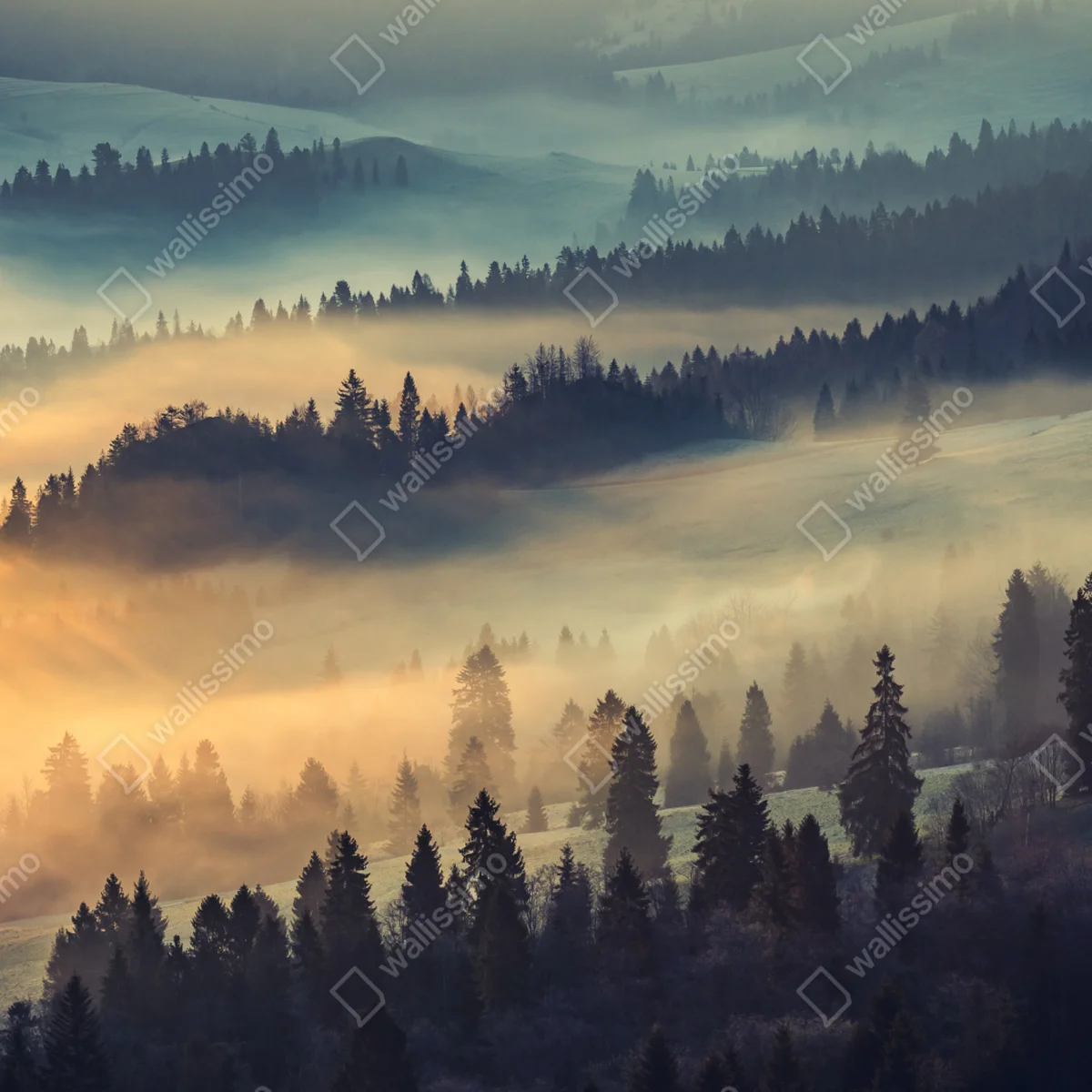 Fototapete nebliger bergwald im sonnenaufgang Fototapete nebliger bergwald im sonnenaufgang