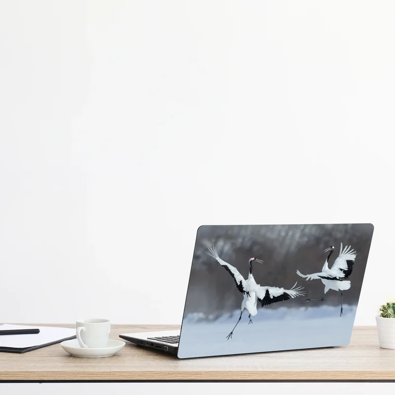 Laptop-Aufkleber tanzende rotkronenkraniche im schnee, Hokkaido Laptop-Aufkleber tanzende rotkronenkraniche im schnee, Hokkaido