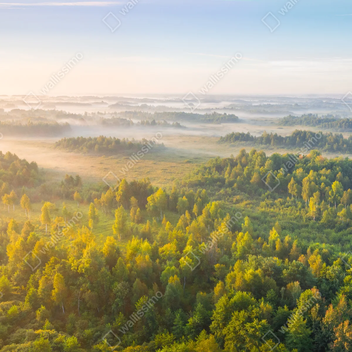 Türaufkleber nebliger morgen im sumpf von Zvanets Türaufkleber nebliger morgen im sumpf von Zvanets