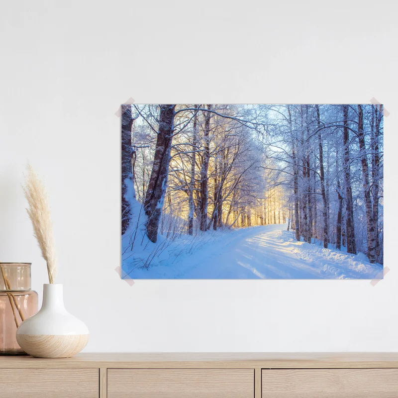 Poster birkenwald im winter bei sonnenaufgang Poster birkenwald im winter bei sonnenaufgang