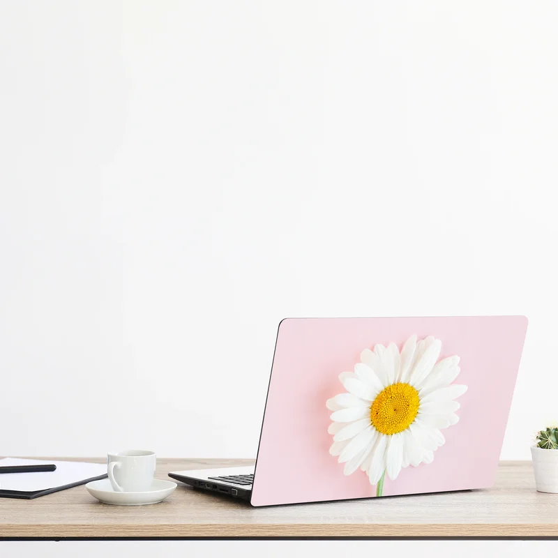 Laptop-Aufkleber weißes gänseblümchen auf pastellrosa hintergrund