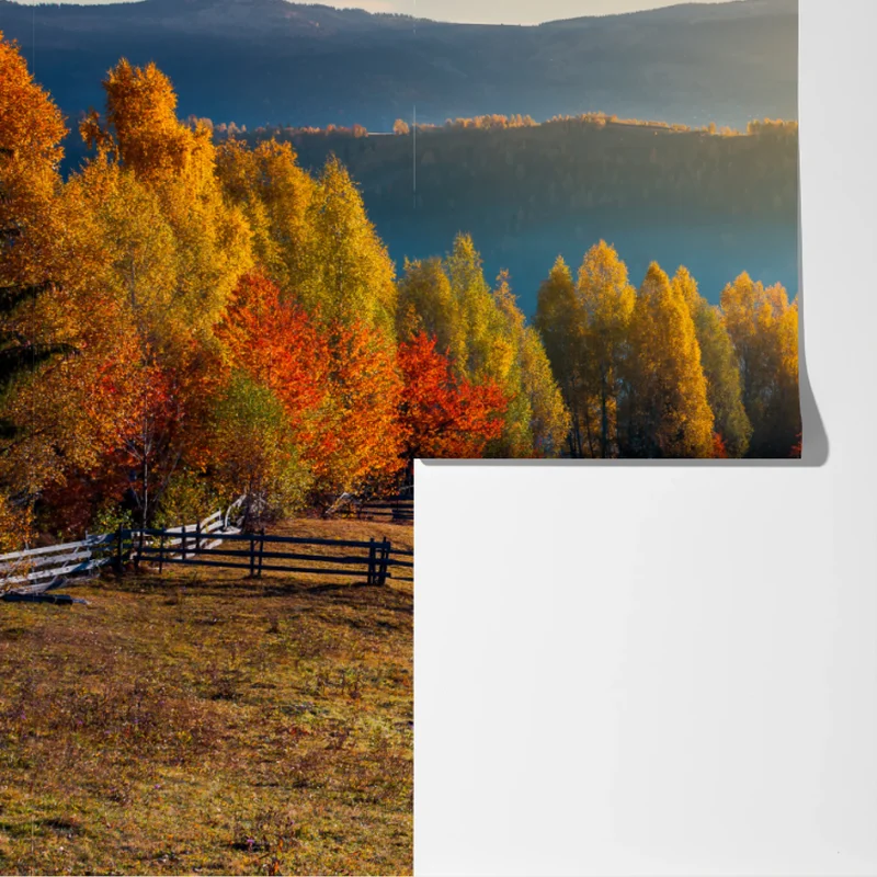 Fototapete nebliger herbstlicher sonnenaufgang auf dem land Fototapete nebliger herbstlicher sonnenaufgang auf dem land