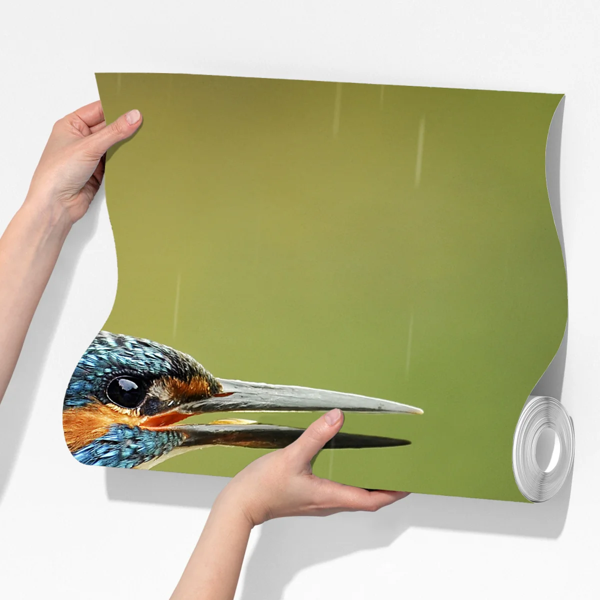 Fototapeta żywy zimorodek w deszczu Fototapeta żywy zimorodek w deszczu