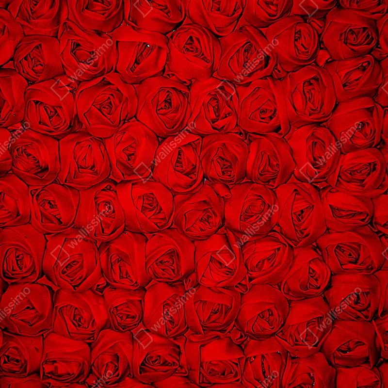 Fensteraufkleber endlose rote rosen Fensteraufkleber endlose rote rosen