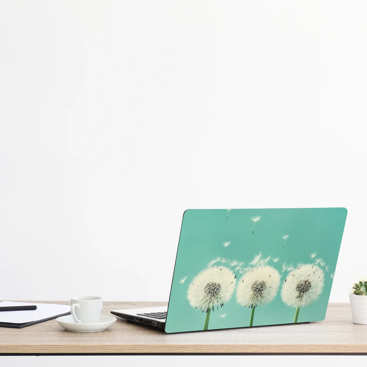 Laptop-Aufkleber drei löwenzahn-pusteblumen auf türkisgrund Laptop-Aufkleber drei löwenzahn-pusteblumen auf türkisgrund