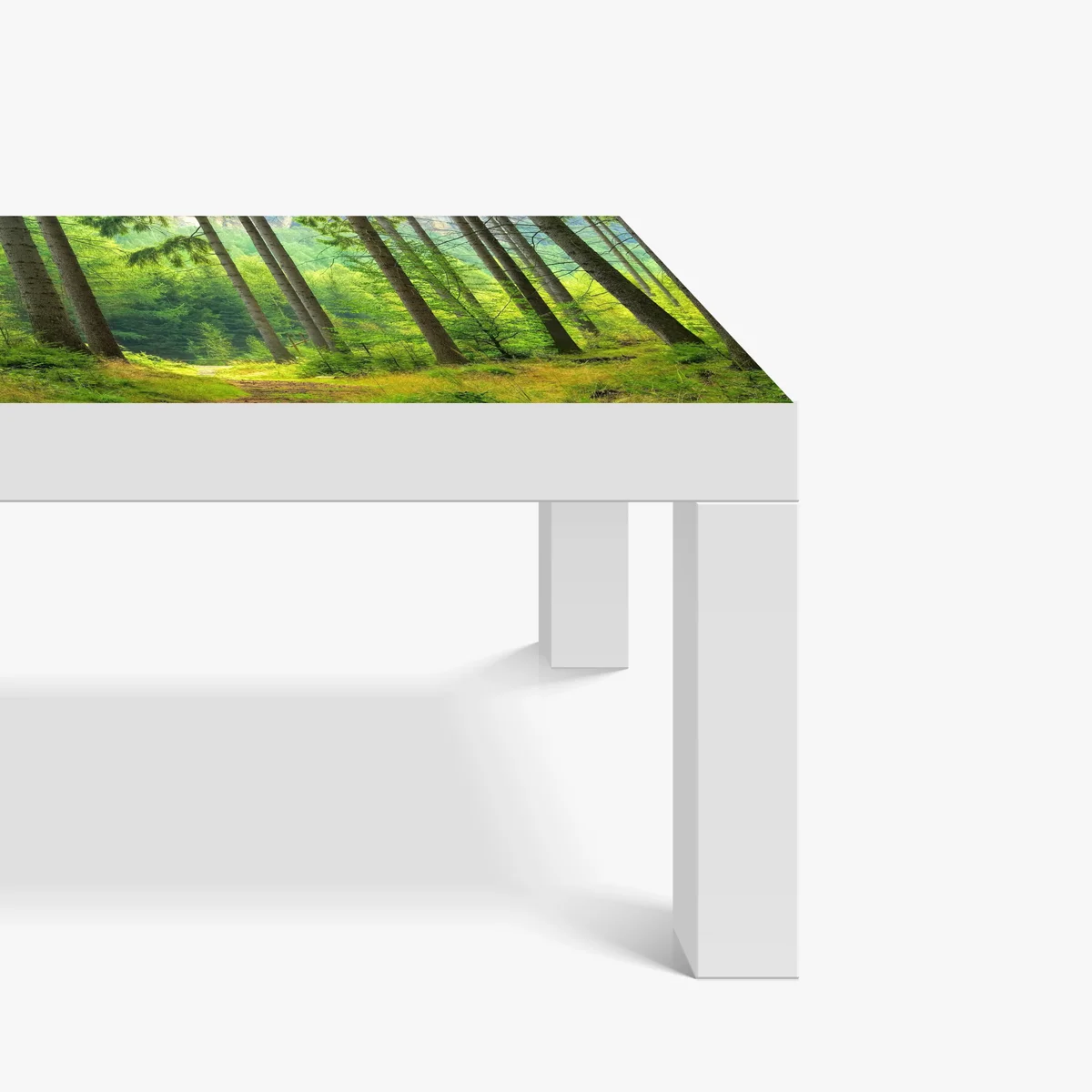 Tischaufkleber und Schreibtischaufkleber sonniger waldweg Tischaufkleber und Schreibtischaufkleber sonniger waldweg