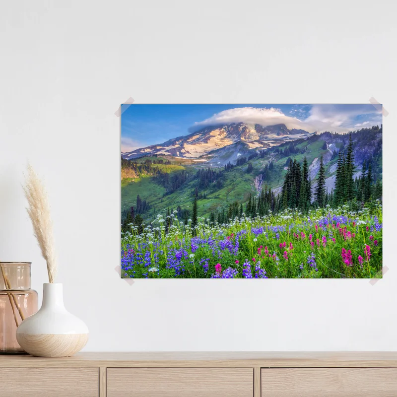 Poster alpine blumenwiese vor schneebedeckten bergen Poster alpine blumenwiese vor schneebedeckten bergen