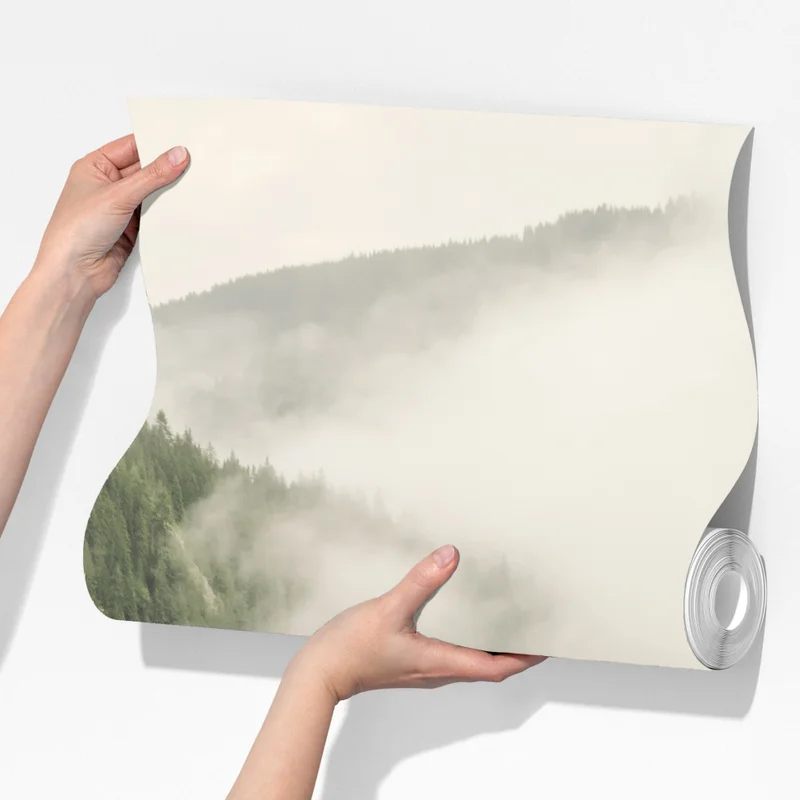 Fototapeta mglisty las iglasty Fototapeta mglisty las iglasty