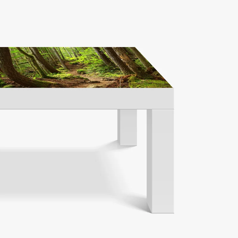 Tischaufkleber und Schreibtischaufkleber moosiger waldpfad