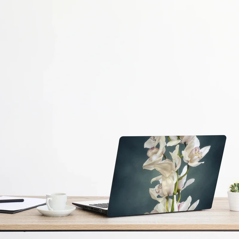 Laptop-Aufkleber zarte weiße orchideen vor gedämpftem hintergrund Laptop-Aufkleber zarte weiße orchideen vor gedämpftem hintergrund